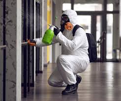 Best Biohazard Mold Removal in USA